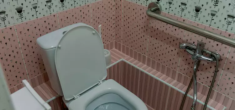 Meeting Diverse Needs With Accessible Restroom Solutions in Delson, QC